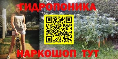 бошки Кунгур